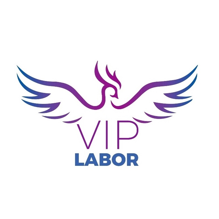 VipLabor Logo